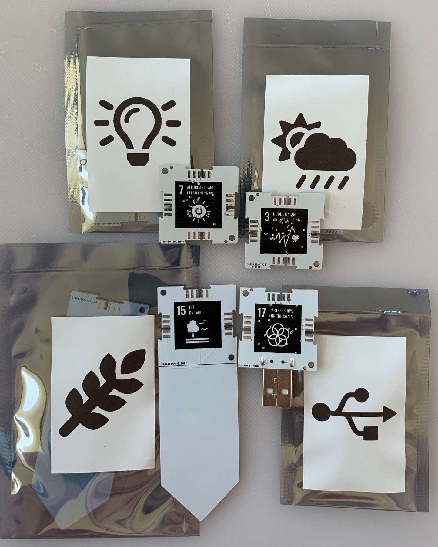 Kit and Challenge Participation - SDG 13 Climate Action